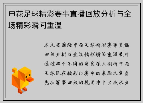 申花足球精彩赛事直播回放分析与全场精彩瞬间重温